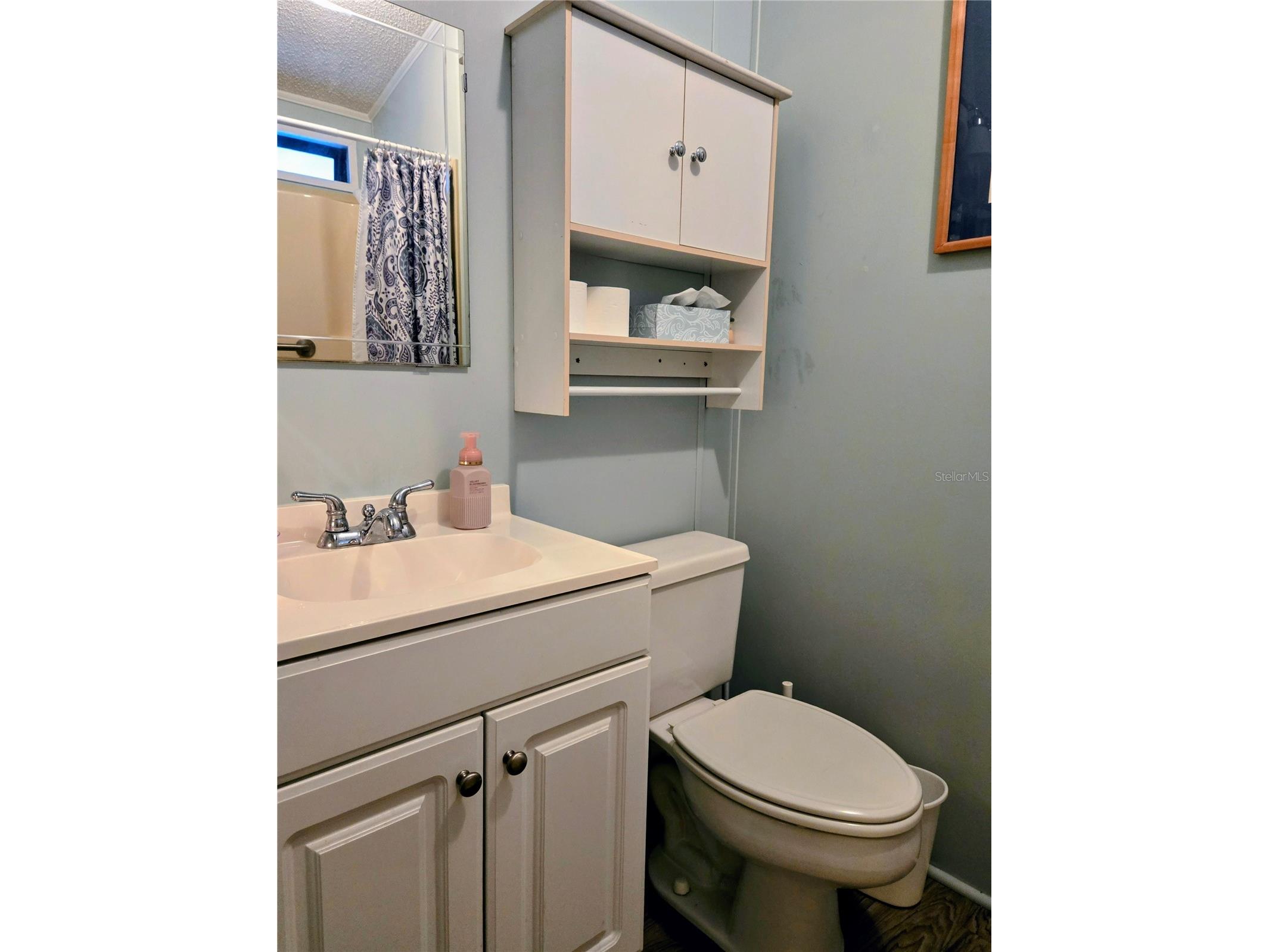 6311 Balmy Lane Zephyrhills FL 33542 TB8411579 image16