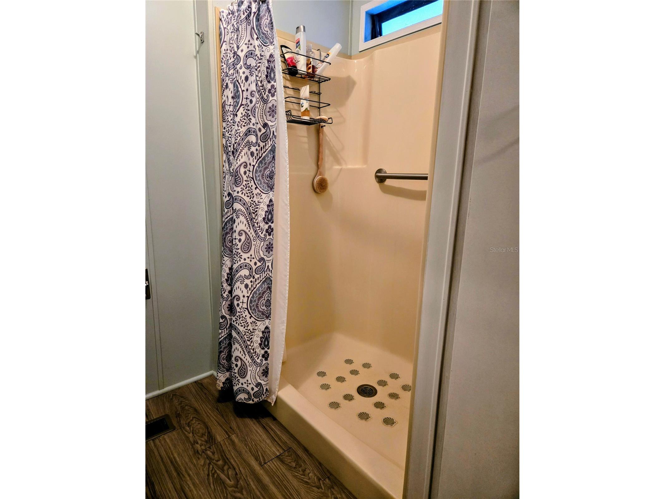 6311 Balmy Lane Zephyrhills FL 33542 TB8411579 image17