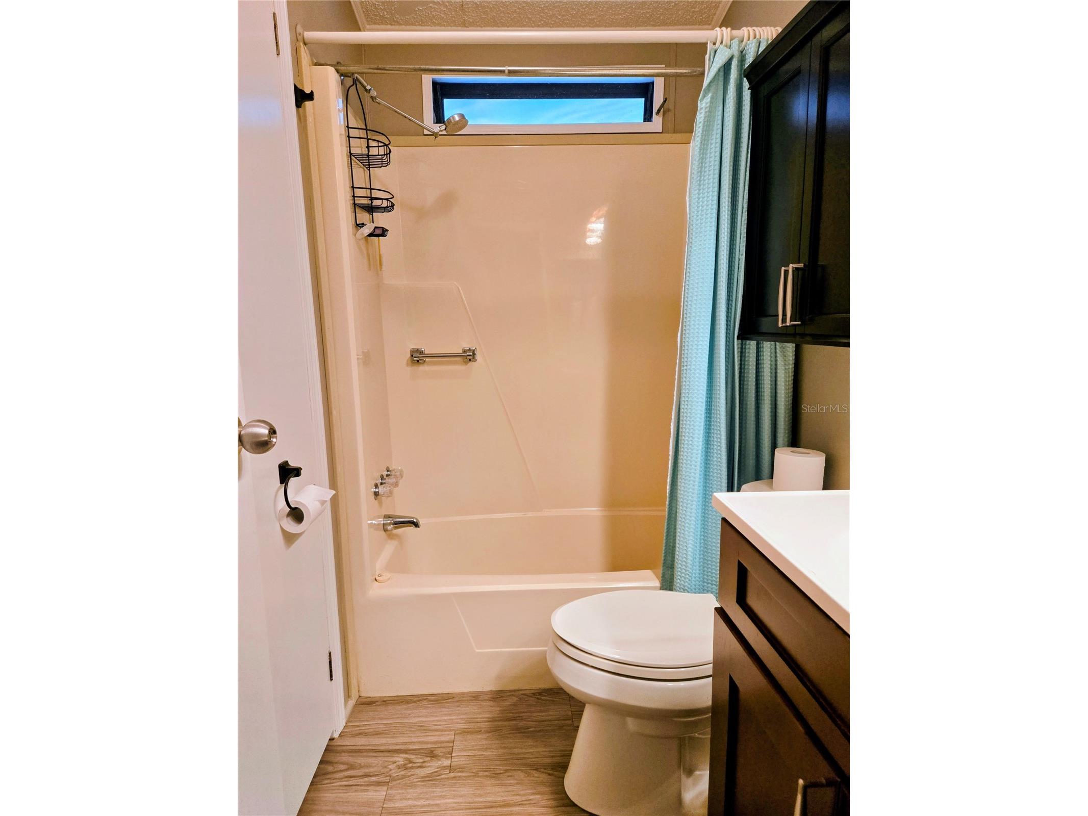 6311 Balmy Lane Zephyrhills FL 33542 TB8411579 image20