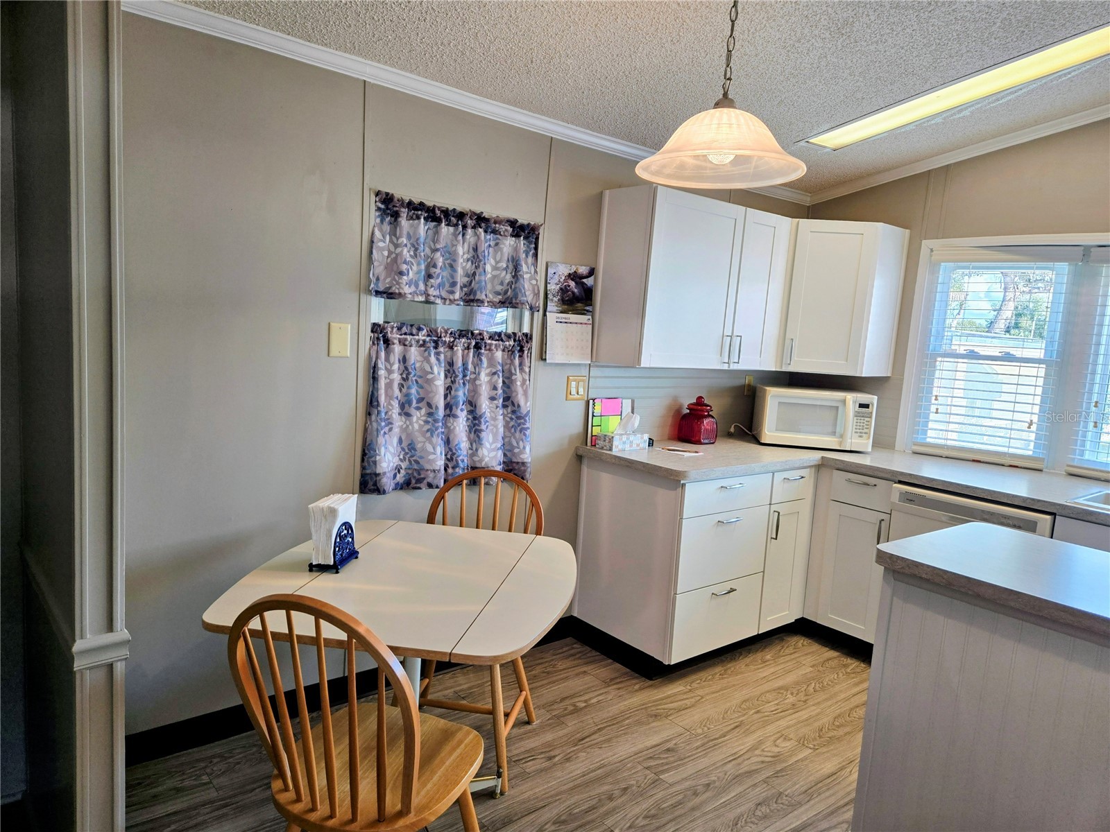 6311 Balmy Lane Zephyrhills FL 33542 TB8411579 image7