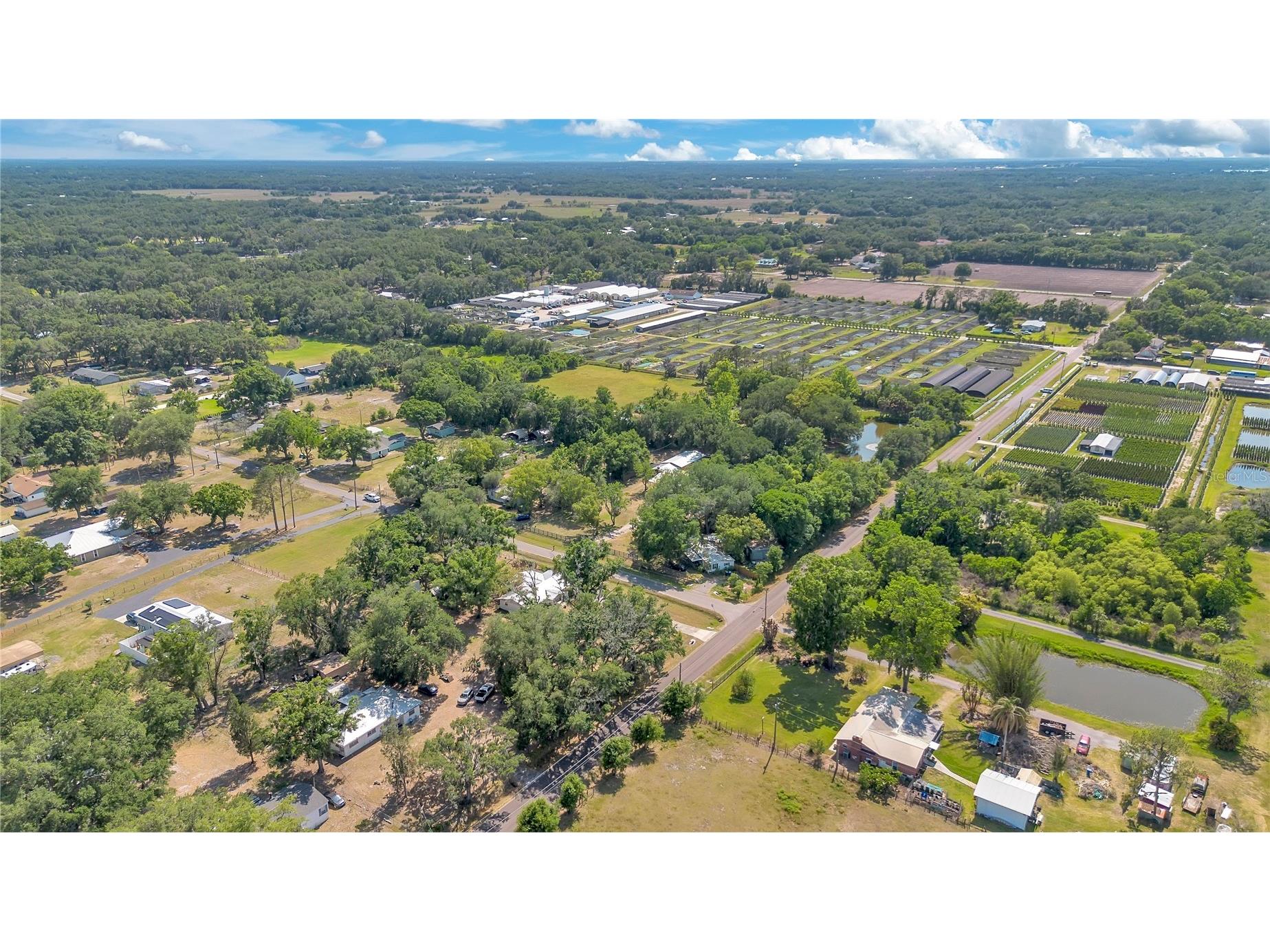 6311 Bob Head Road Plant City FL 33565 L4961575 image38