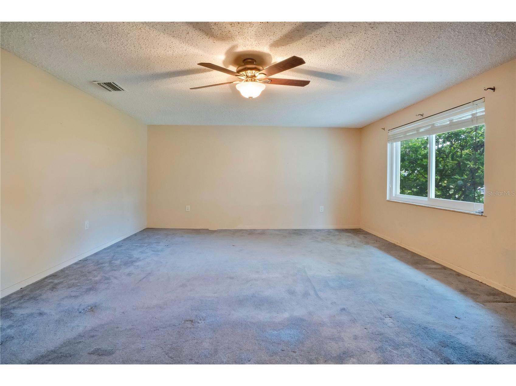 6311 Bob Head Road Plant City FL 33565 L4961575 image6