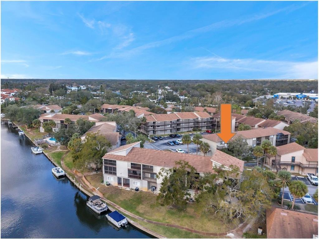 6311 Newtown Circle #11B1 Tampa FL 33615 TB8432192 image2