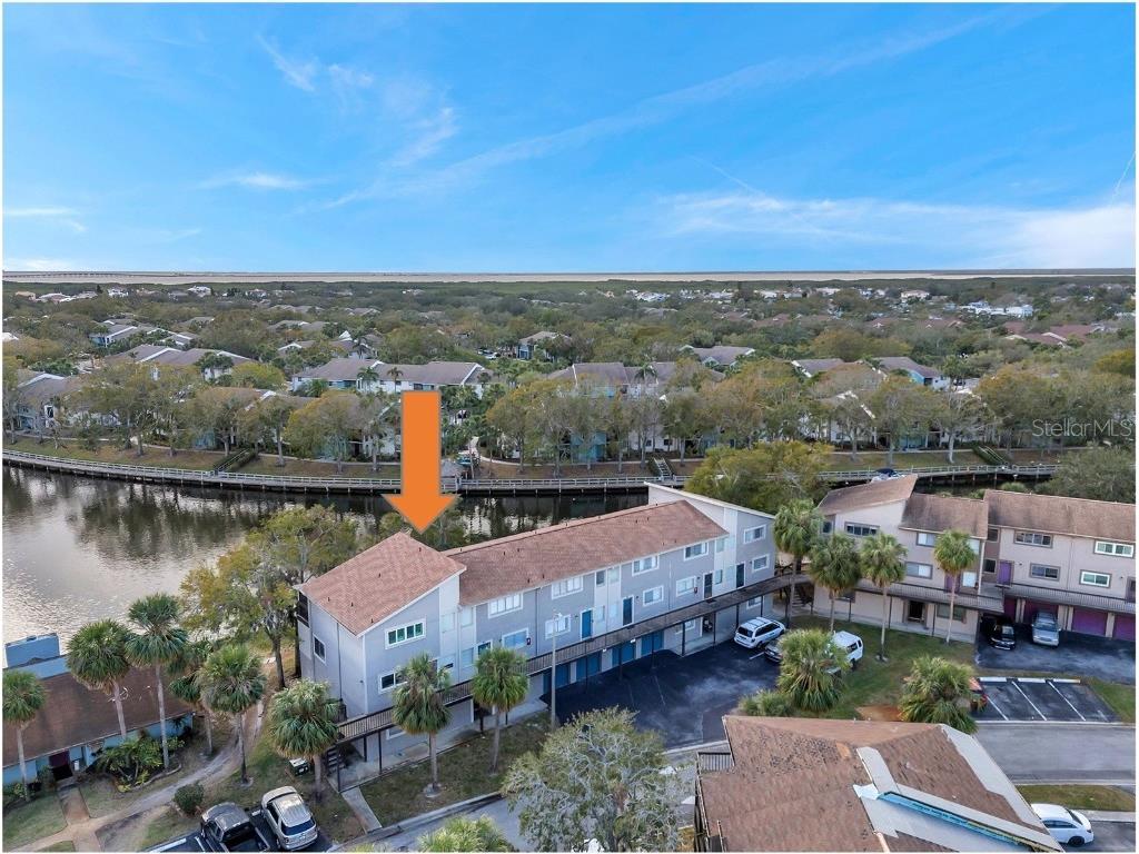 6311 Newtown Circle #11B1 Tampa FL 33615 TB8432192 image3