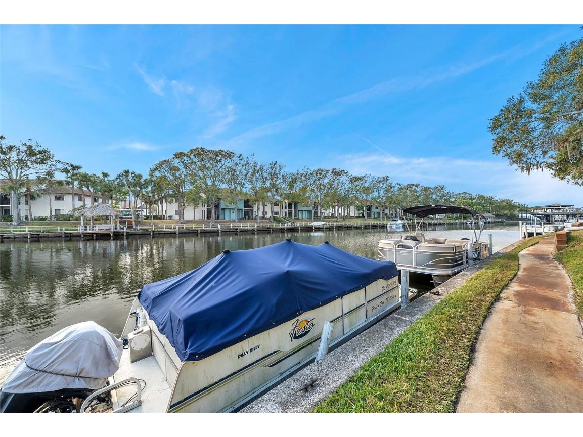 6311 Newtown Circle #11B1 Tampa FL 33615 TB8432192 image44