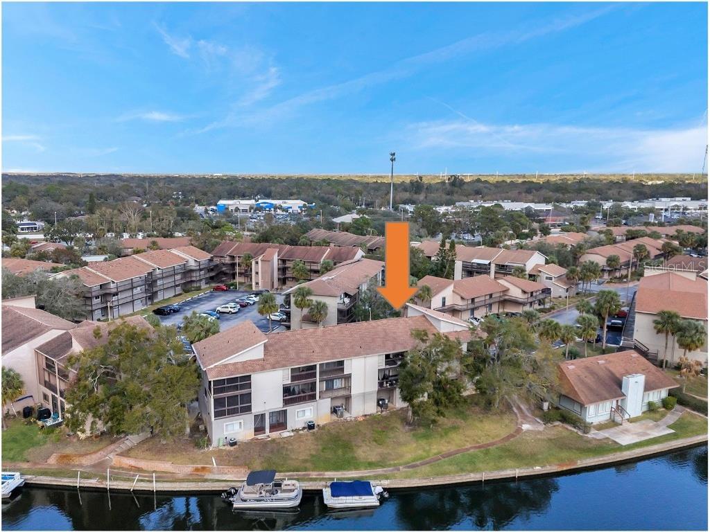 6311 Newtown Circle #11B1 Tampa FL 33615 TB8432192 image7