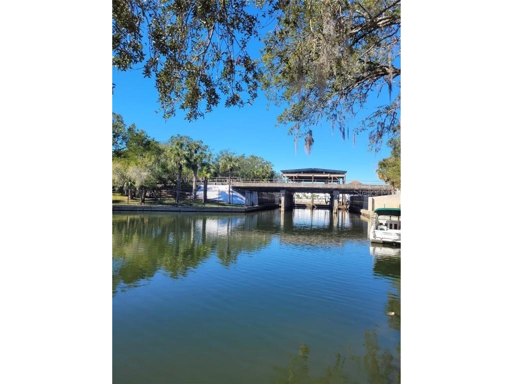 6311 Newtown Circle #11B2 Tampa FL 33615 TB8358182 image33