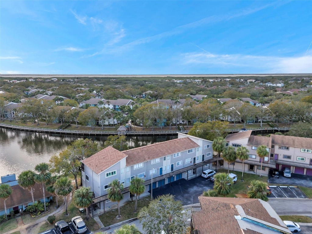 6311 Newtown Circle #11B2 Tampa FL 33615 TB8358182 image39