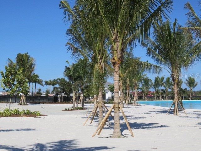 6311 Pigeon Plum Way Bradenton FL 34210 A4675513 image2