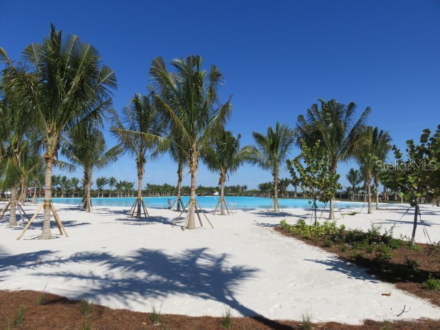 6311 Pigeon Plum Way Bradenton FL 34210 A4675513 image38