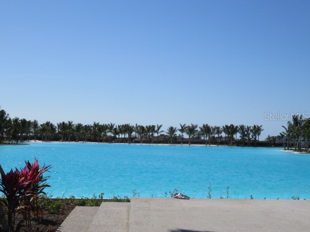 6311 Pigeon Plum Way Bradenton FL 34210 A4675513 image4