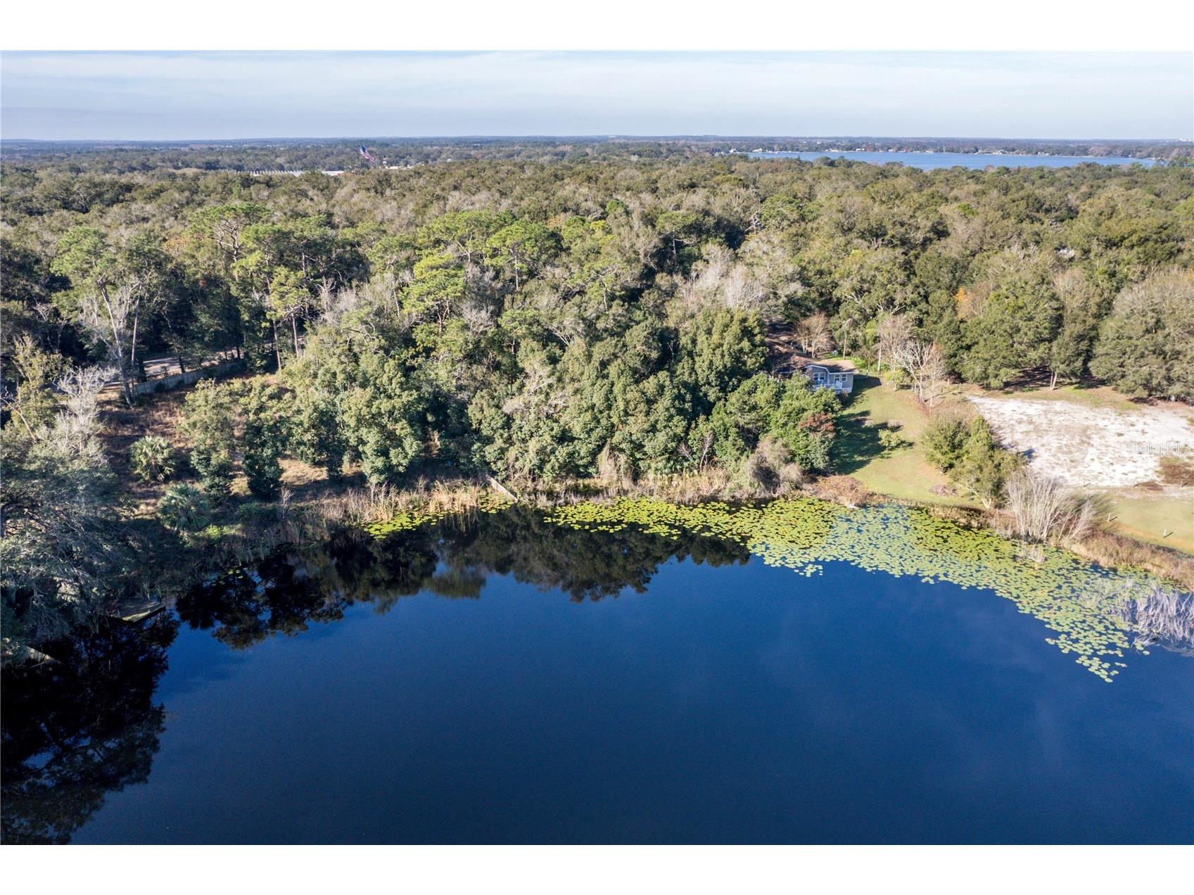 6311 Sadler Road Mount Dora FL 32757 - SAWDUST LAKE O6414523 image1