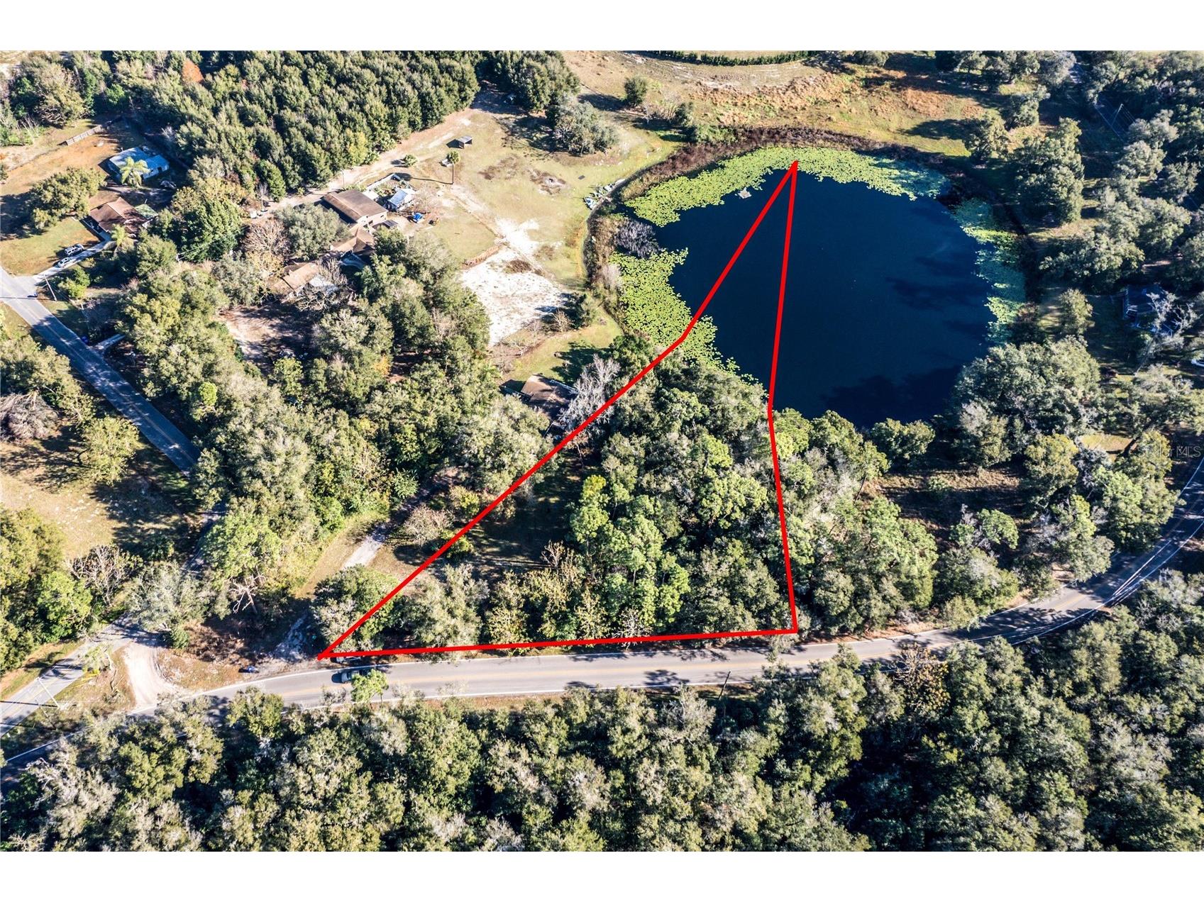 6311 Sadler Road Mount Dora FL 32757 - SAWDUST LAKE O6414523 image2