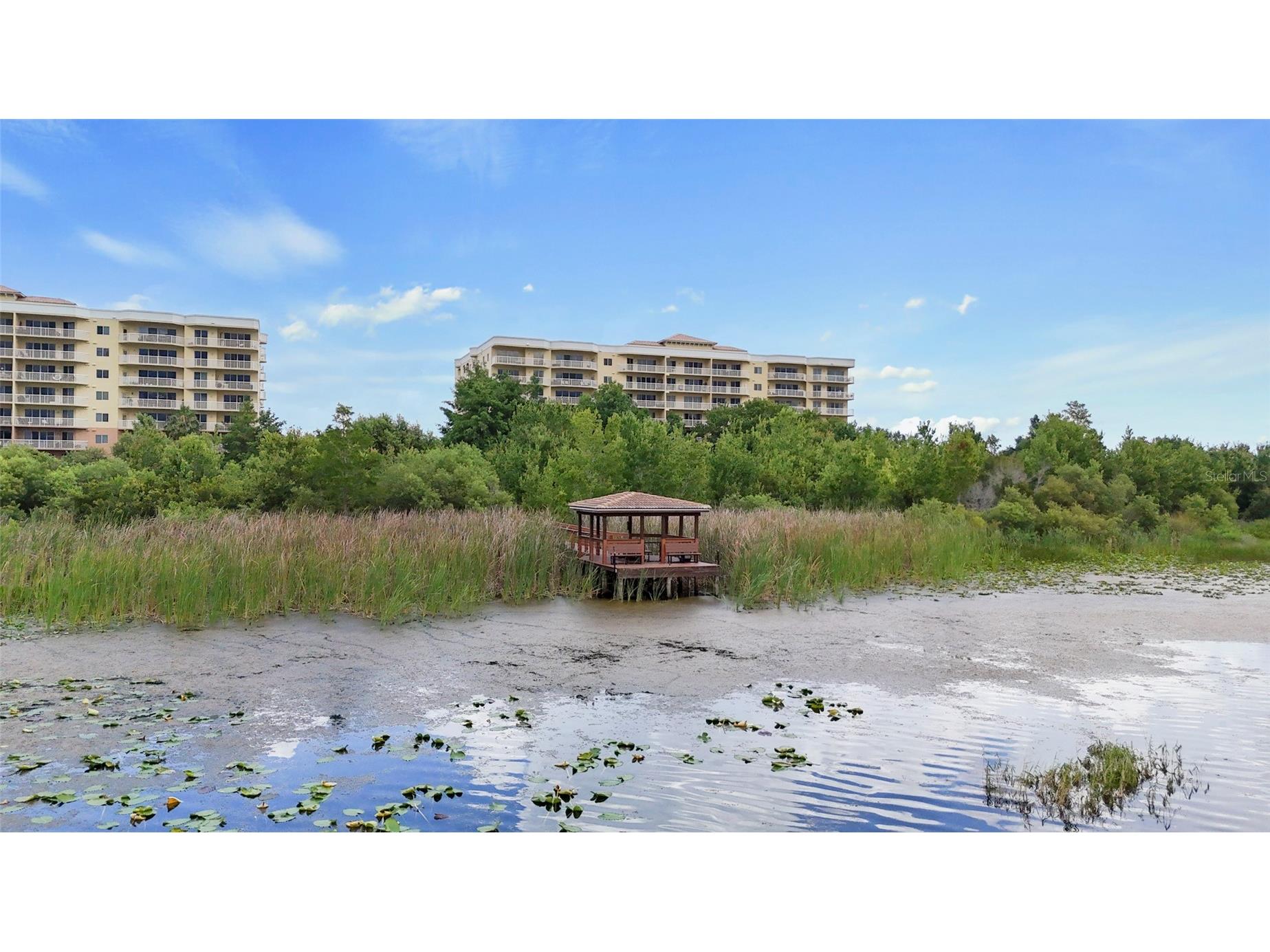 6312 Buford Street #708 Orlando FL 32835 - TURKEY LAKE O6417762 image67