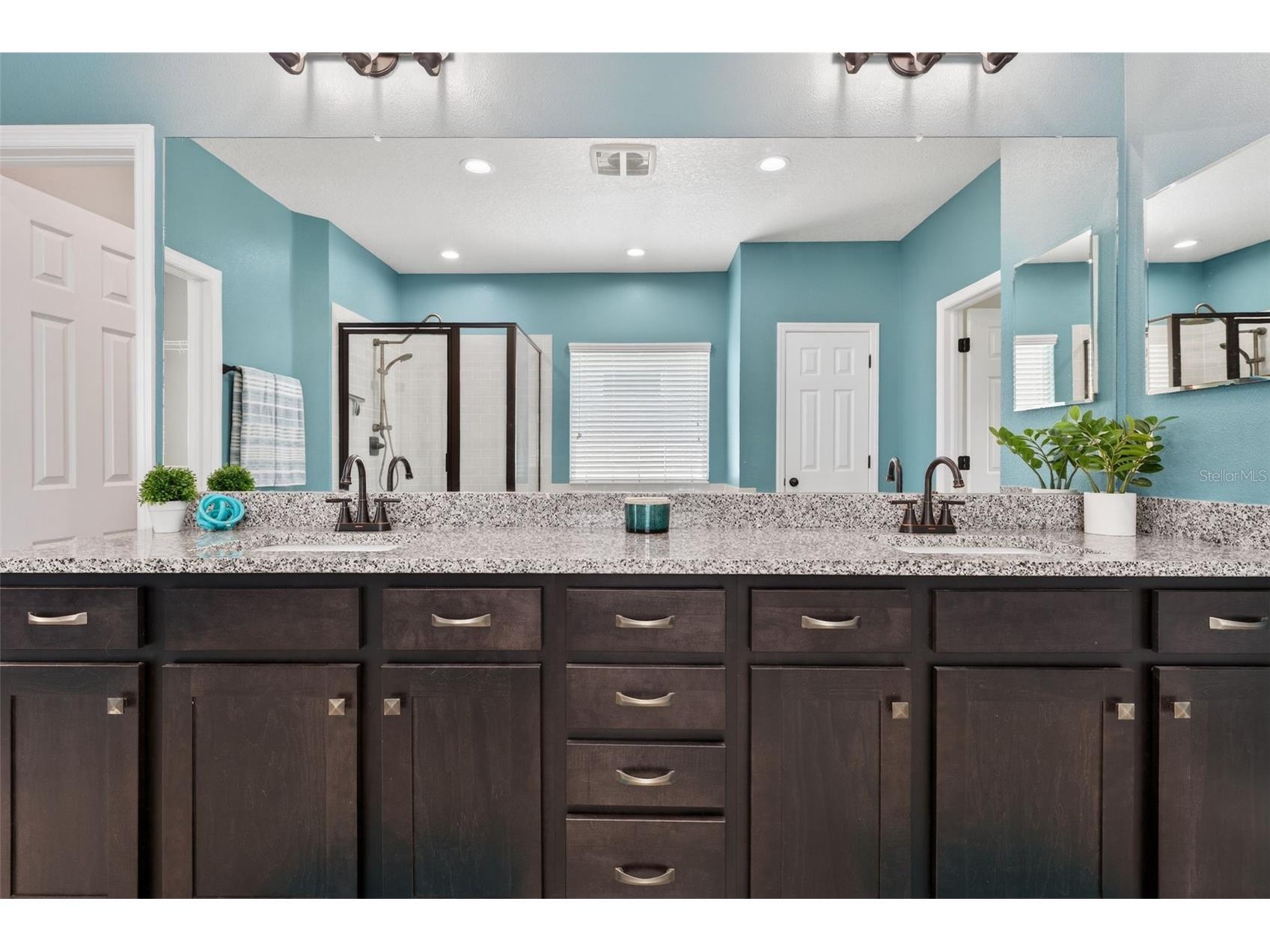6312 Heirloom Place Apollo Beach FL 33572 TB8492636 image58