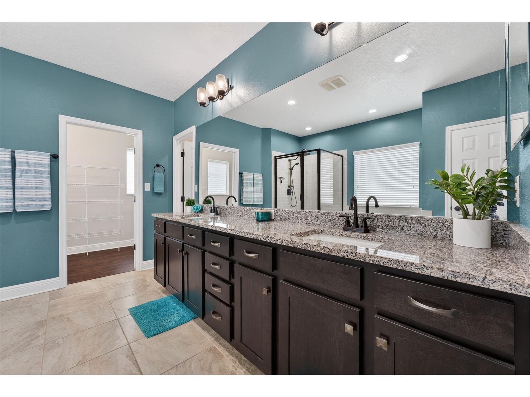 6312 Heirloom Place Apollo Beach FL 33572 TB8492636 image59