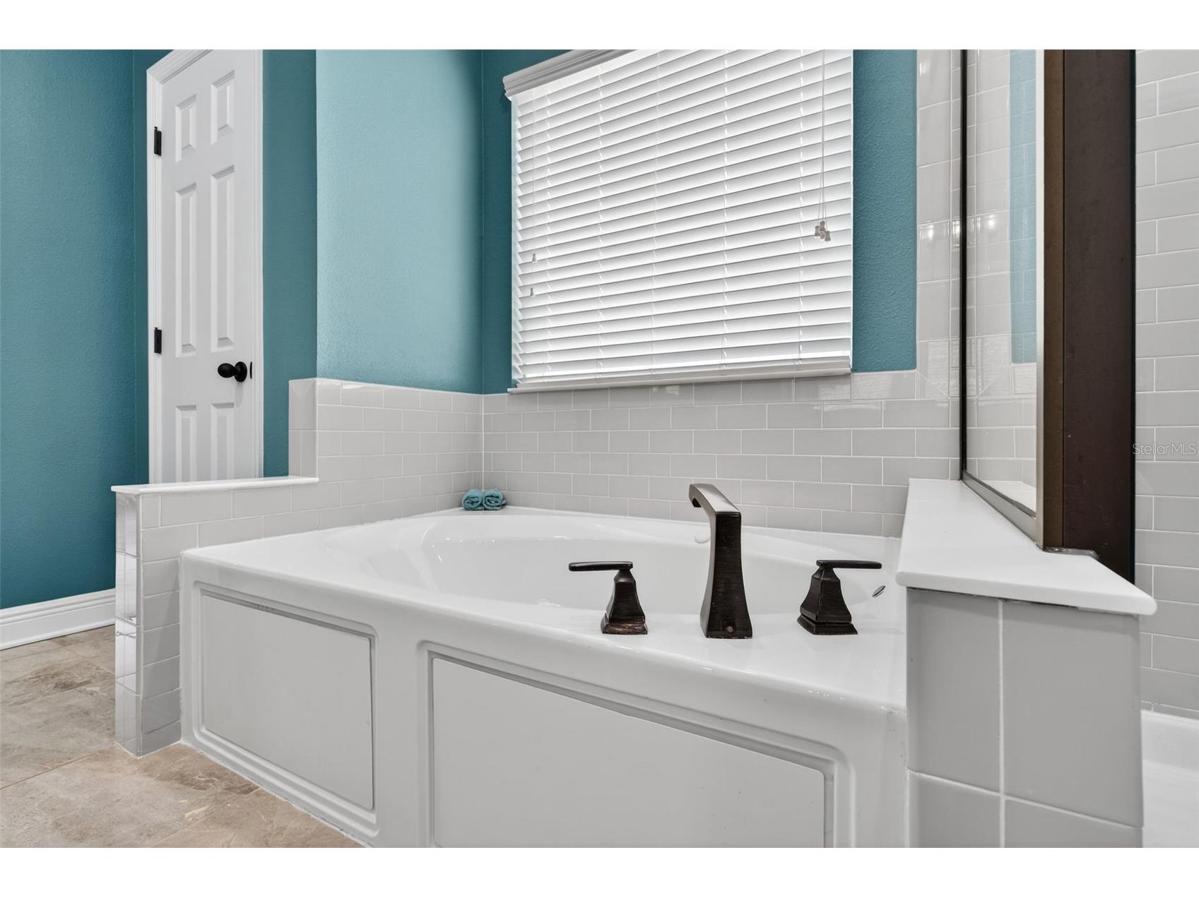 6312 Heirloom Place Apollo Beach FL 33572 TB8492636 image62