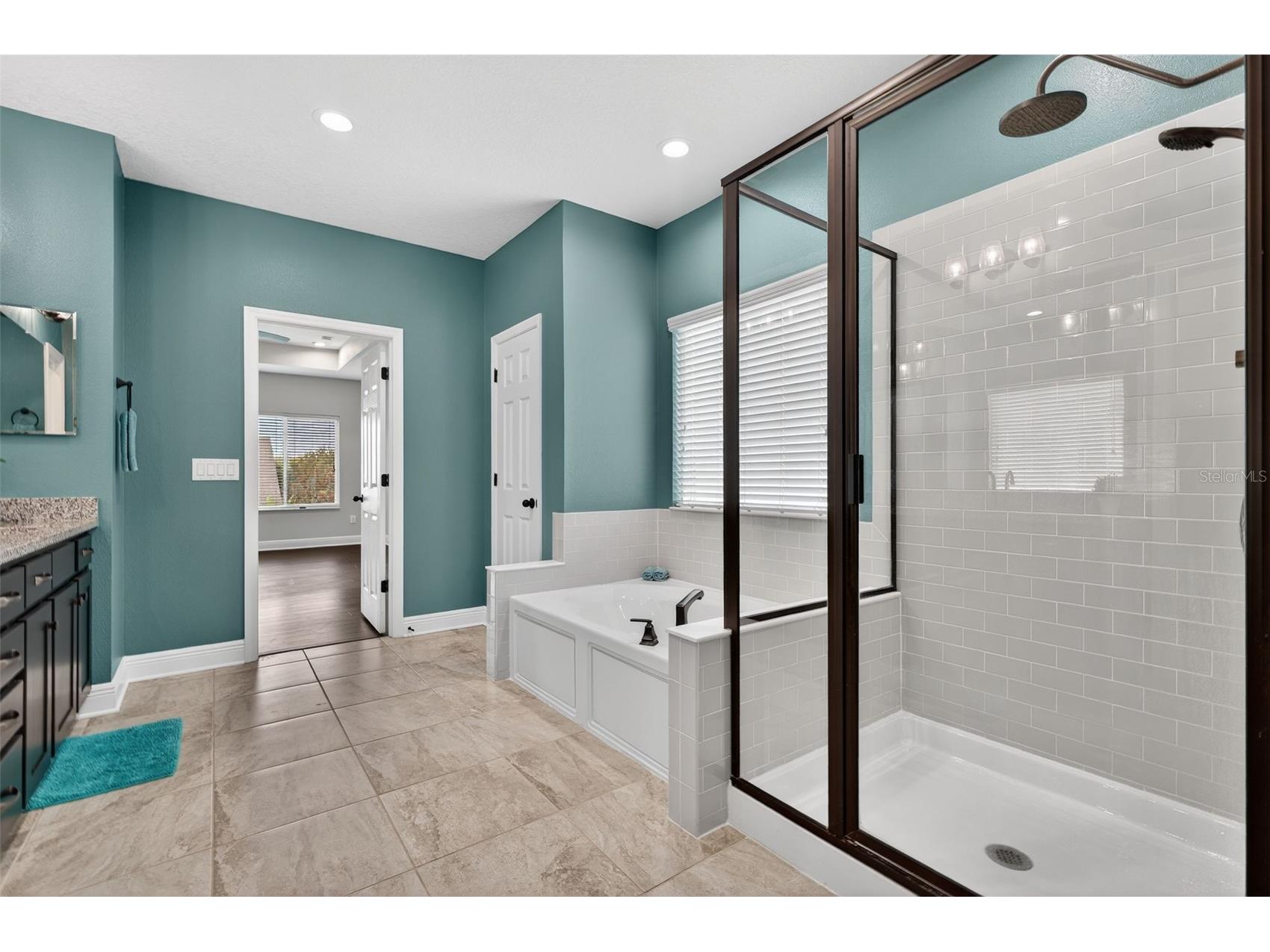 6312 Heirloom Place Apollo Beach FL 33572 TB8492636 image63