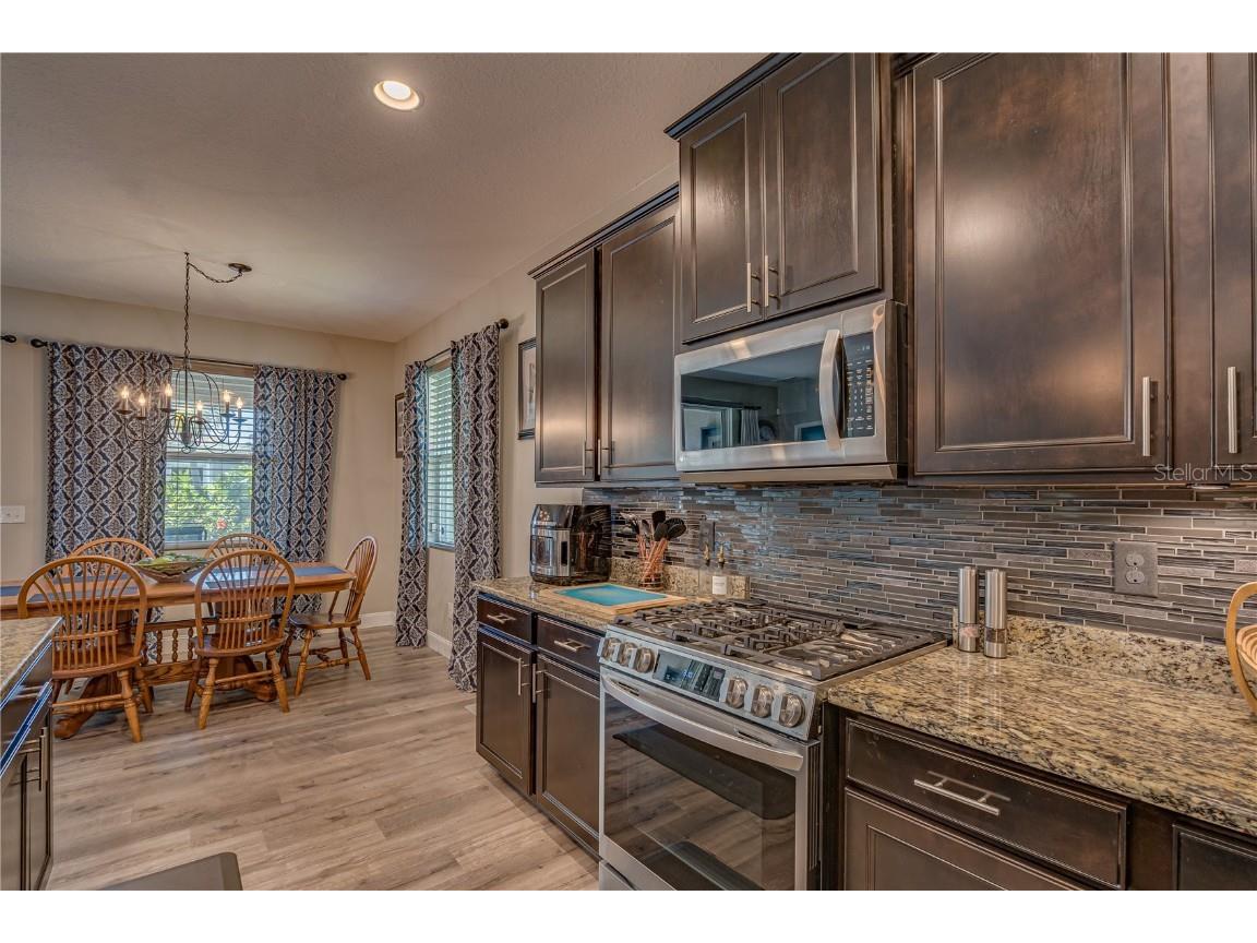 6312 Lantern View Place Apollo Beach FL 33572 TB8417300 image15