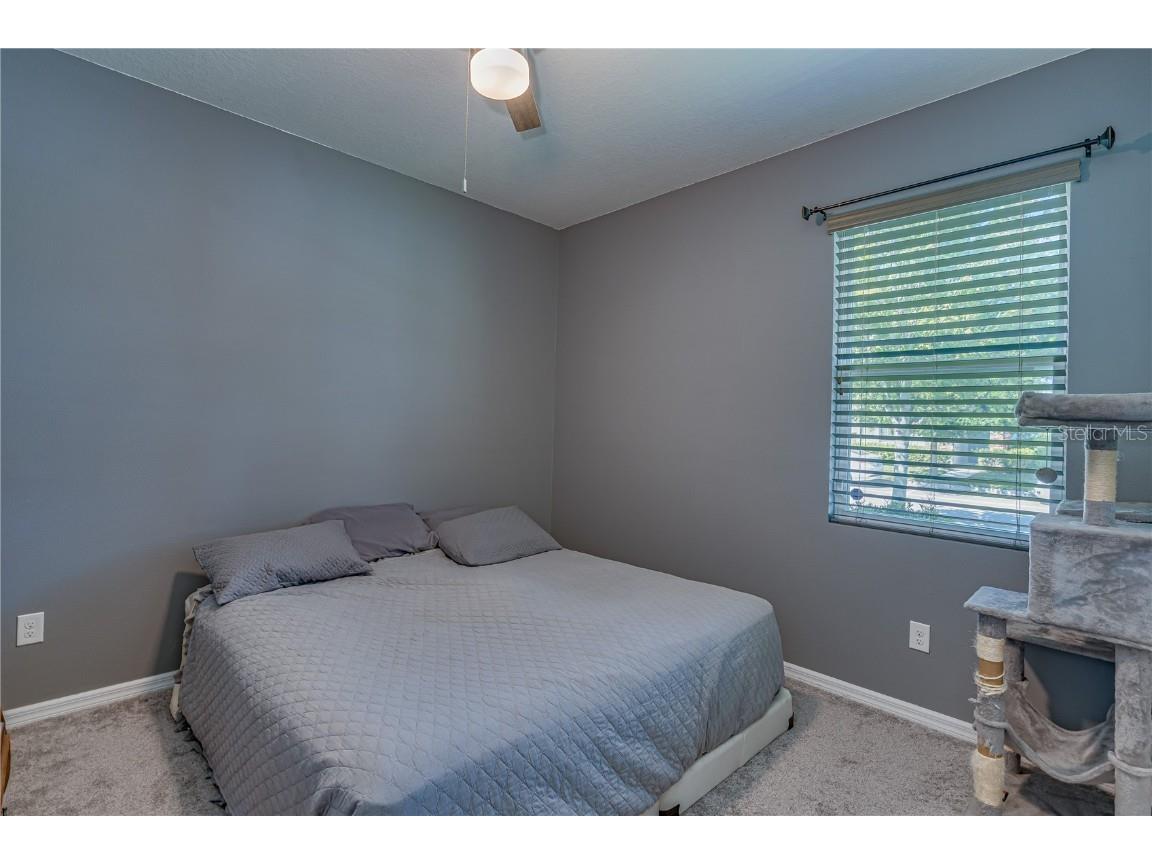 6312 Lantern View Place Apollo Beach FL 33572 TB8417300 image26