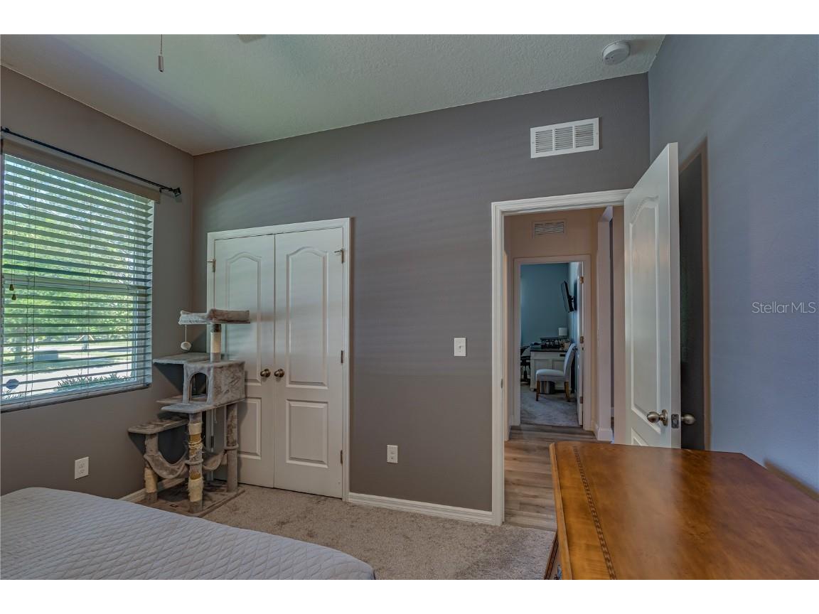 6312 Lantern View Place Apollo Beach FL 33572 TB8417300 image27