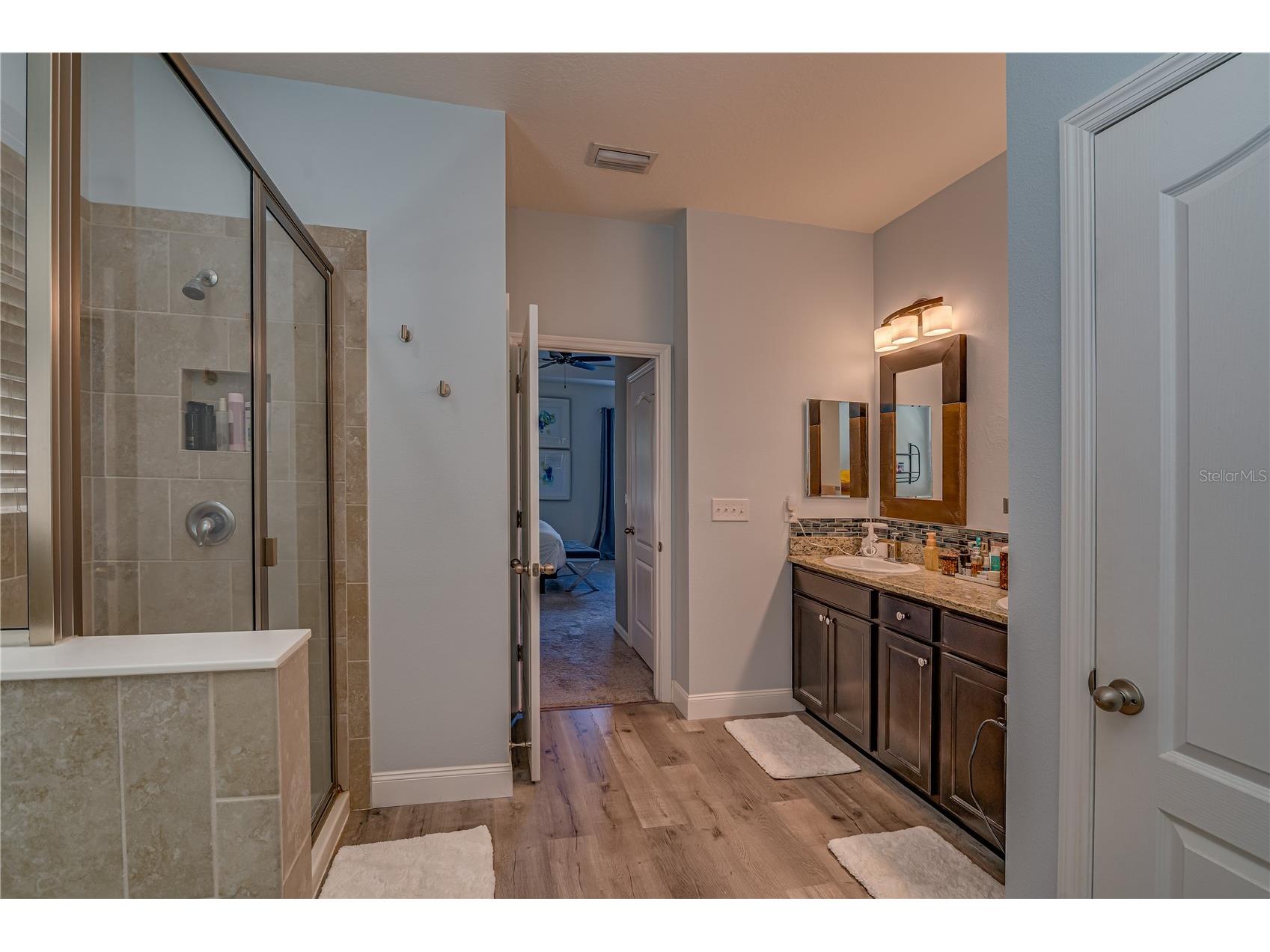 6312 Lantern View Place Apollo Beach FL 33572 TB8503473 image21