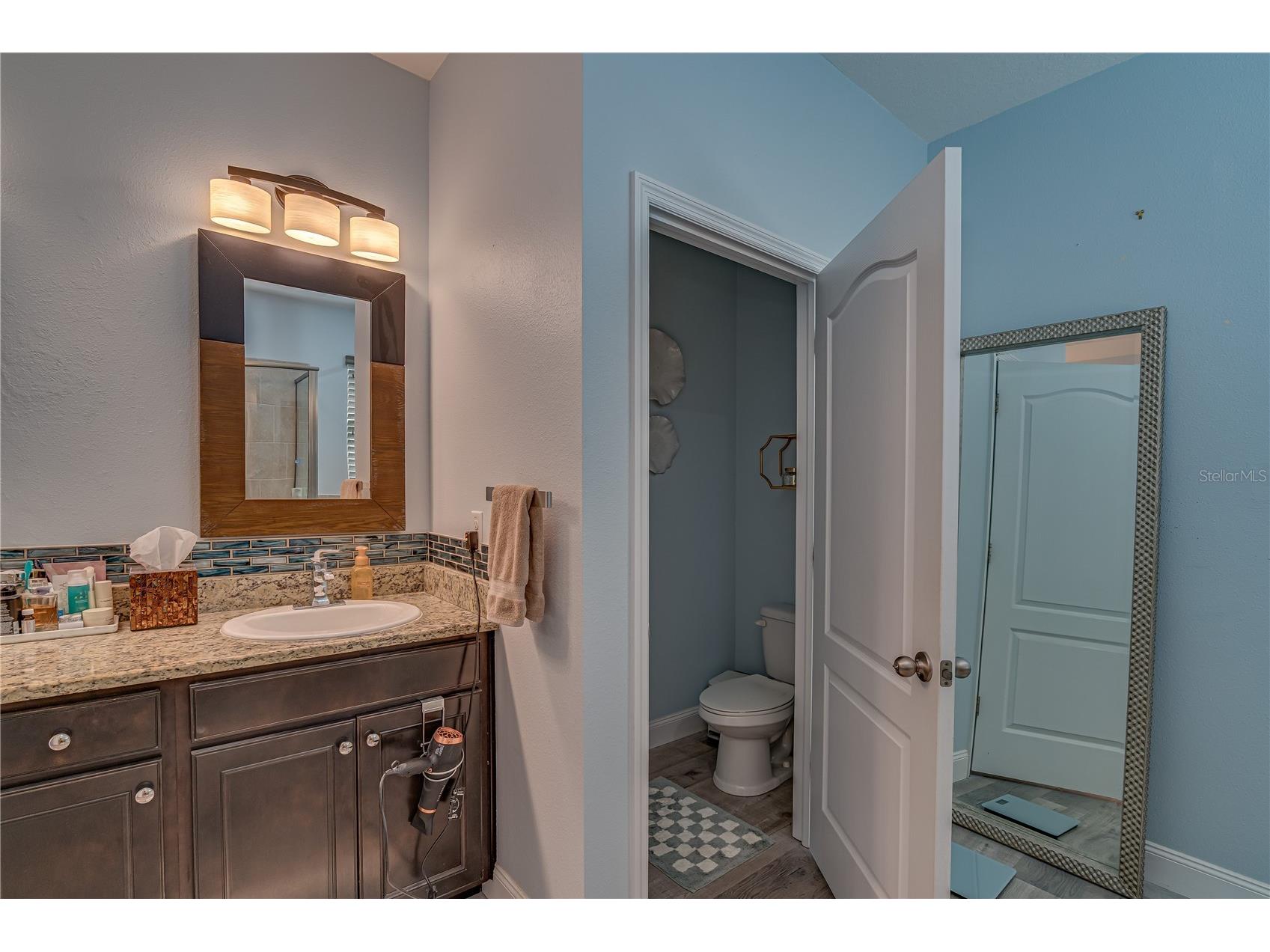 6312 Lantern View Place Apollo Beach FL 33572 TB8503473 image22