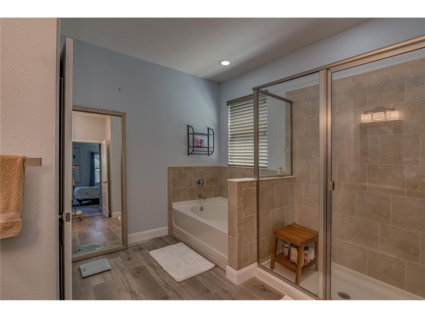 6312 Lantern View Place Apollo Beach FL 33572 TB8503473 image23
