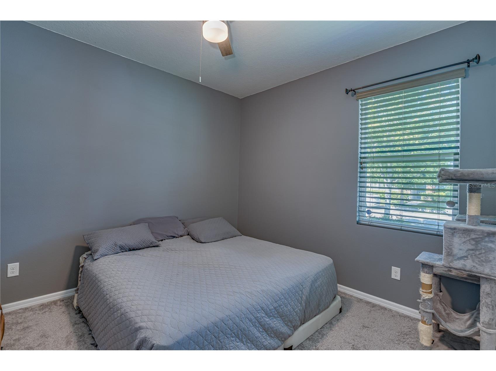 6312 Lantern View Place Apollo Beach FL 33572 TB8503473 image26