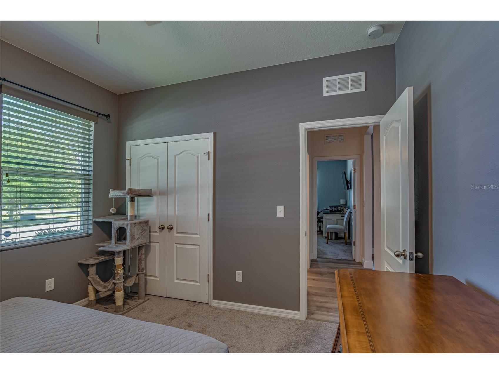 6312 Lantern View Place Apollo Beach FL 33572 TB8503473 image27