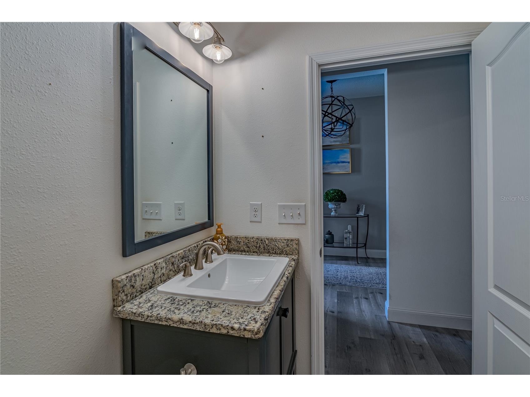 6312 Lantern View Place Apollo Beach FL 33572 TB8503473 image29