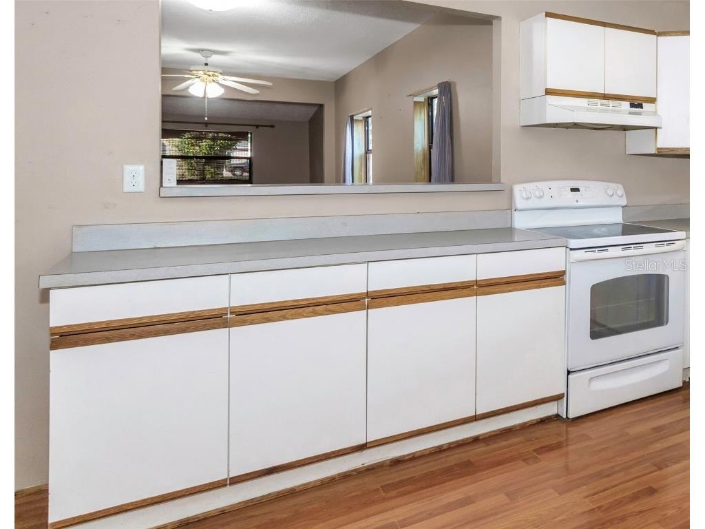 6312 Montana Avenue New Port Richey FL 34653 W7880620 image19