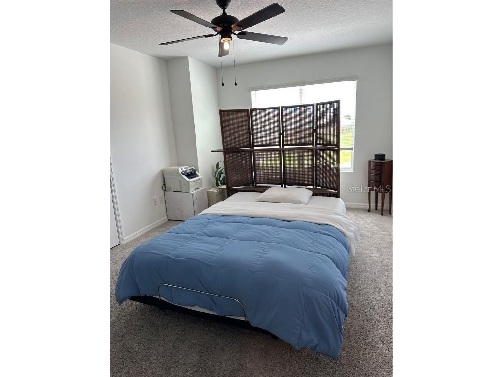 6312 Sophie Oaks Court Tampa FL 33610 TB8448259 image4