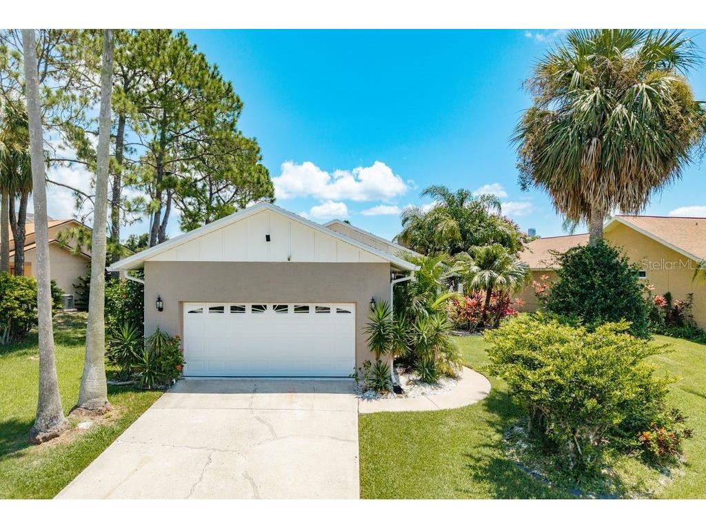 6312 Spoonbill Drive New Port Richey FL 34652 L4954805 image2