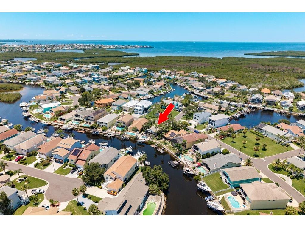 6312 Spoonbill Drive New Port Richey FL 34652 L4954805 image3