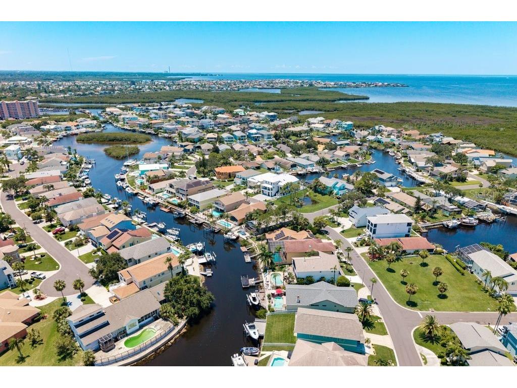 6312 Spoonbill Drive New Port Richey FL 34652 L4954805 image50