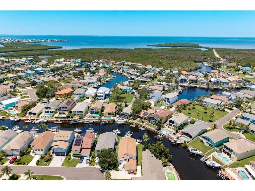 6312 Spoonbill Drive New Port Richey FL 34652 L4954805 image51