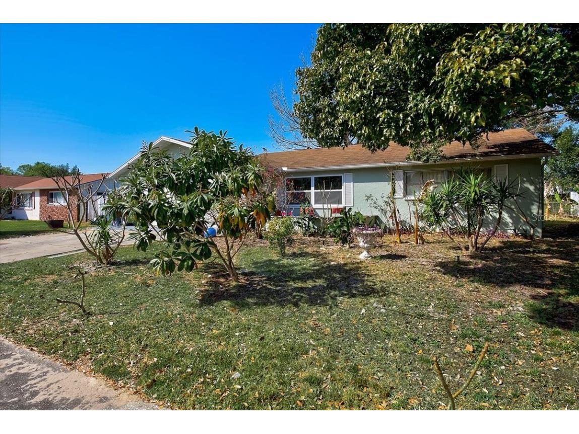 6313 Aberdeen Avenue New Port Richey FL 34653 T3357347 image1