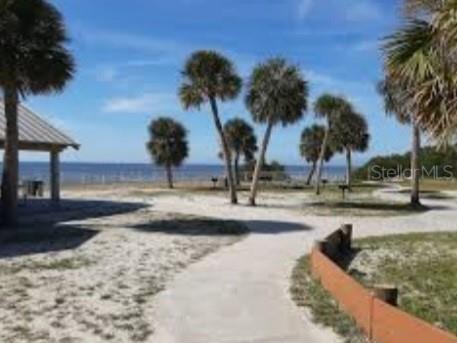 6313 Oelsner Street New Port Richey FL 34652 W7868290 image2