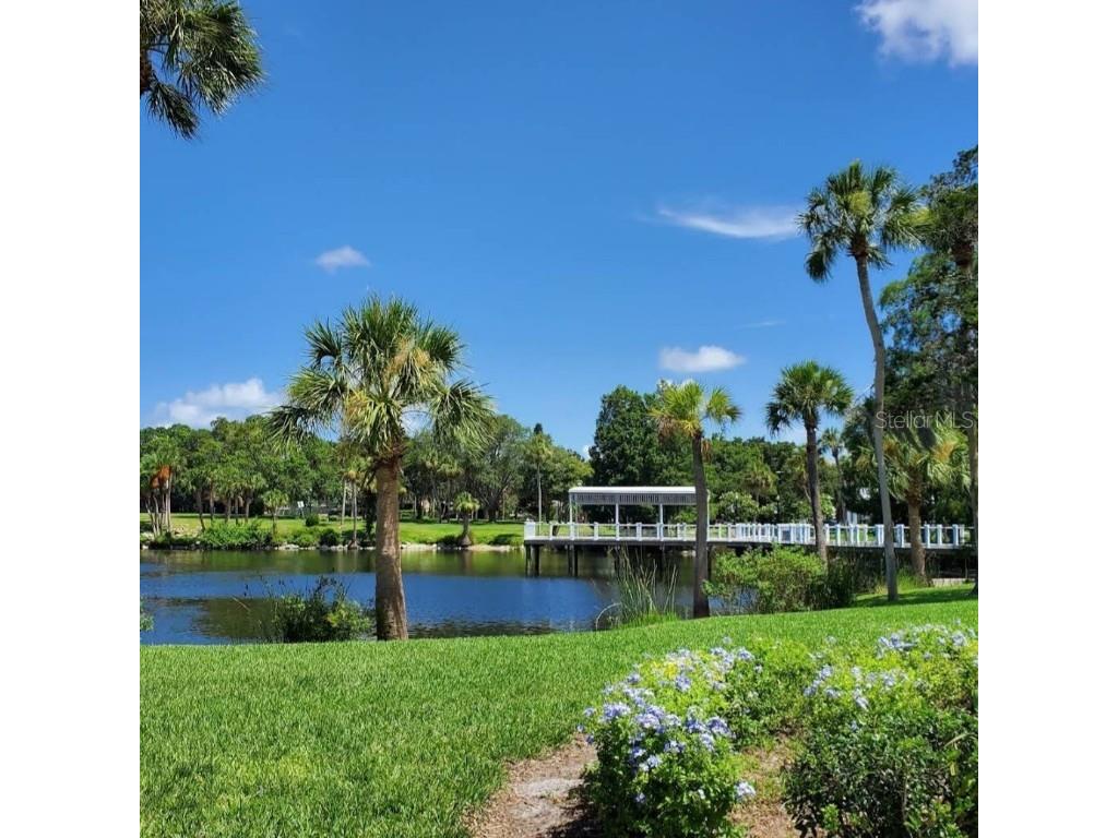 6313 Oelsner Street New Port Richey FL 34652 W7868290 image8