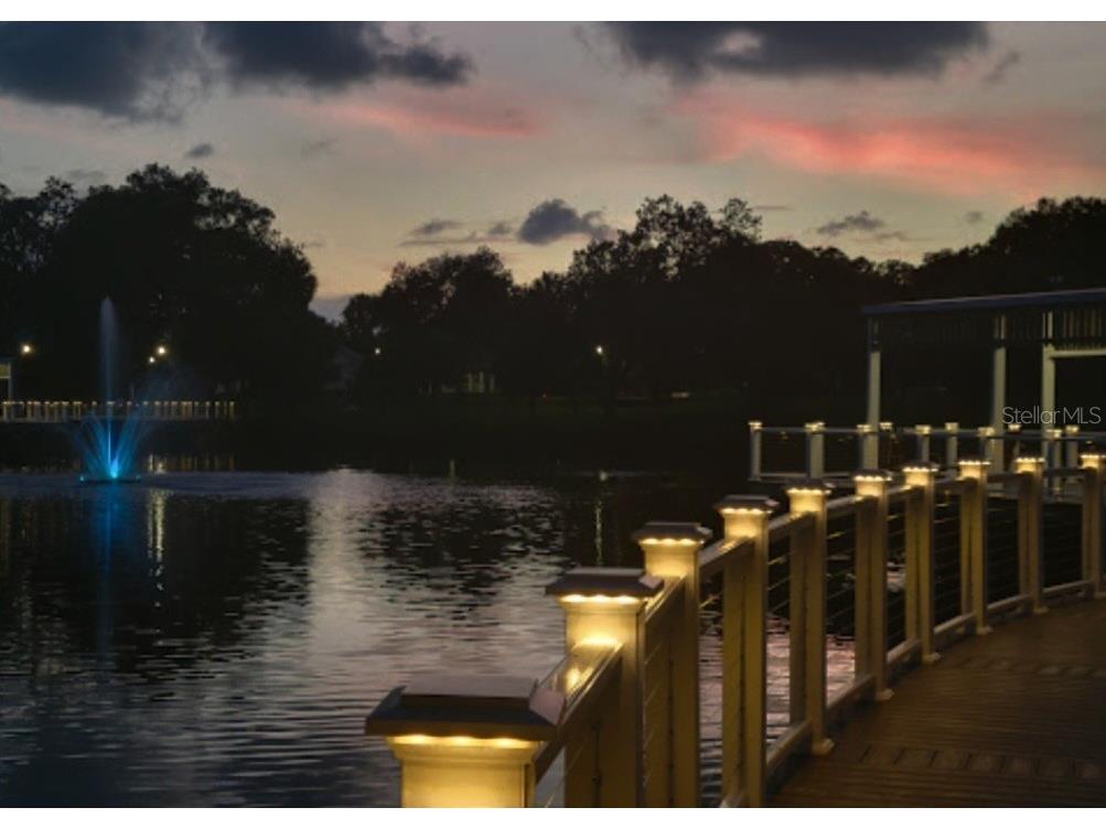 6313 Oelsner Street New Port Richey FL 34652 W7868290 image9