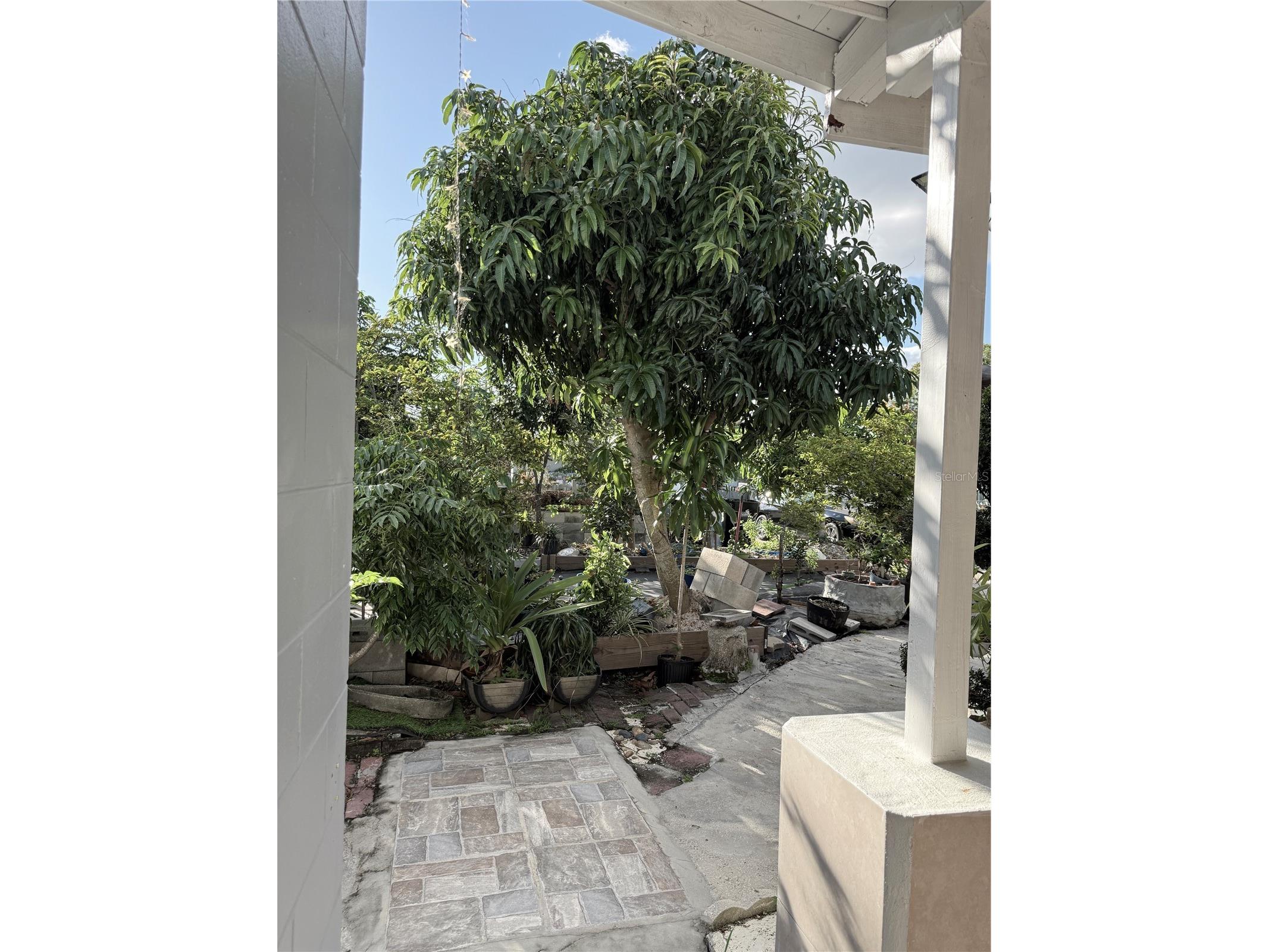 6313 Willow Oak Lane Orlando FL 32809 O6368166 image12