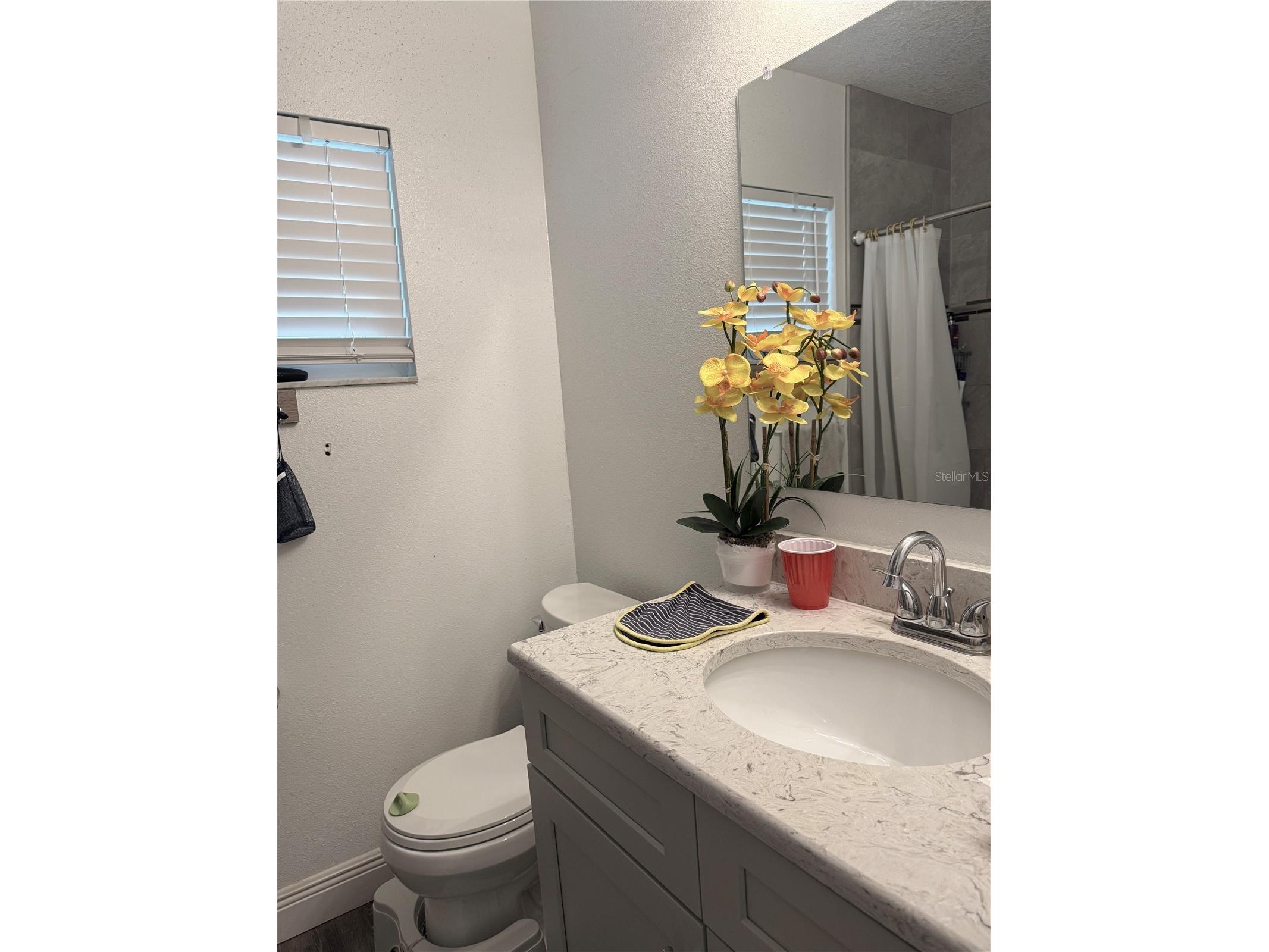 6313 Willow Oak Lane Orlando FL 32809 O6368166 image32