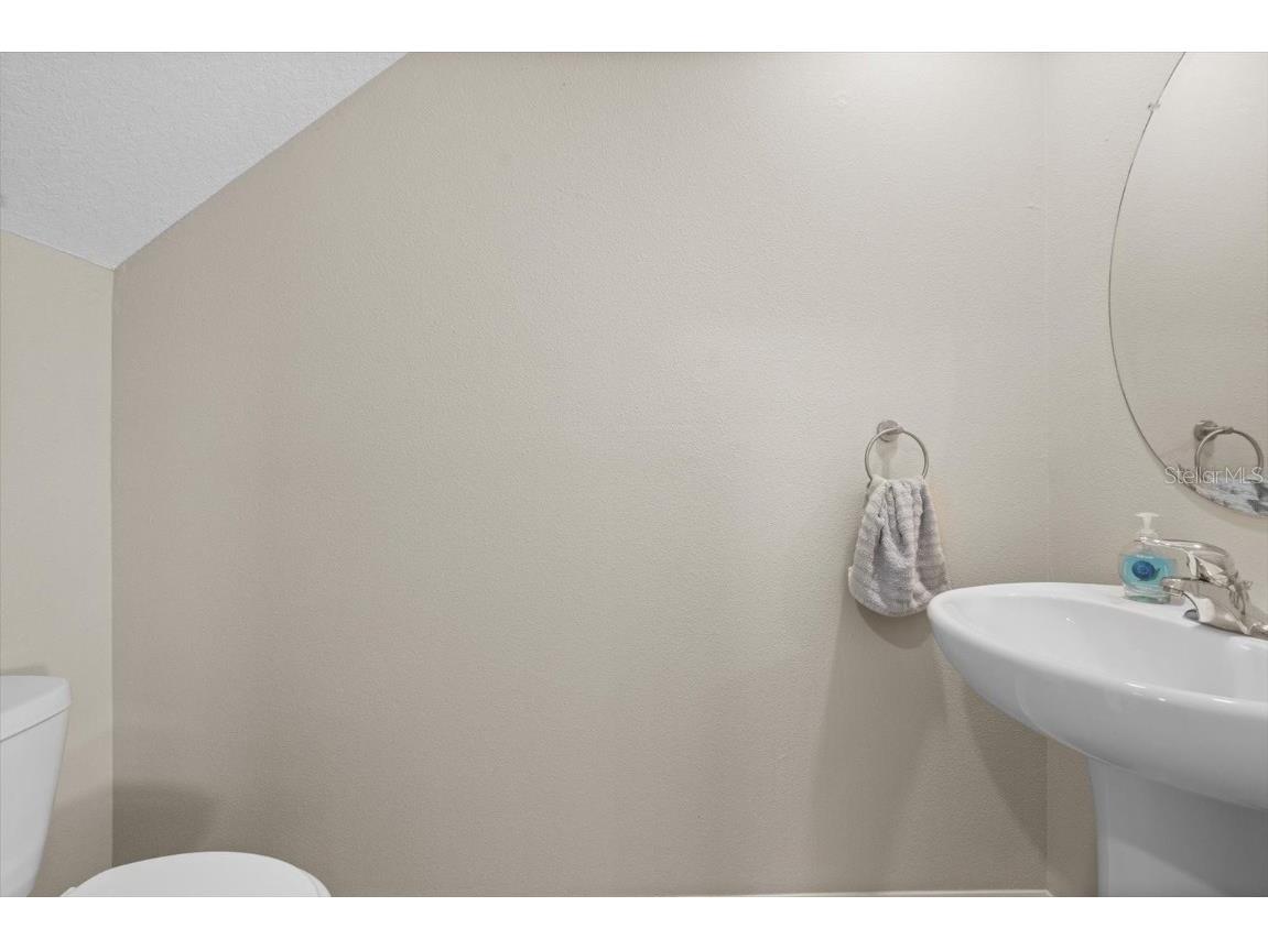 6314 Distant Haze Place Palmetto FL 34221 A4651146 image21