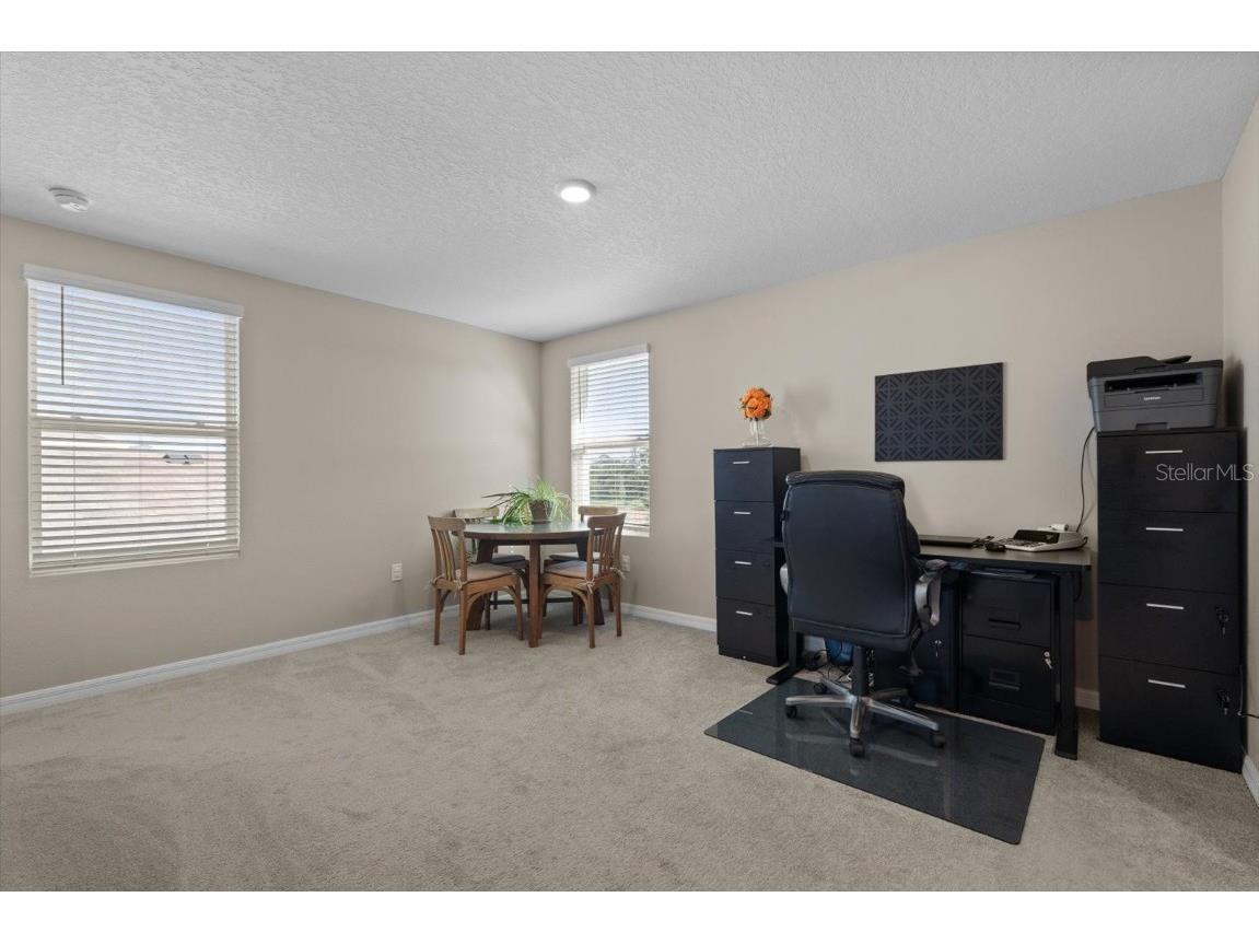 6314 Distant Haze Place Palmetto FL 34221 A4651146 image25