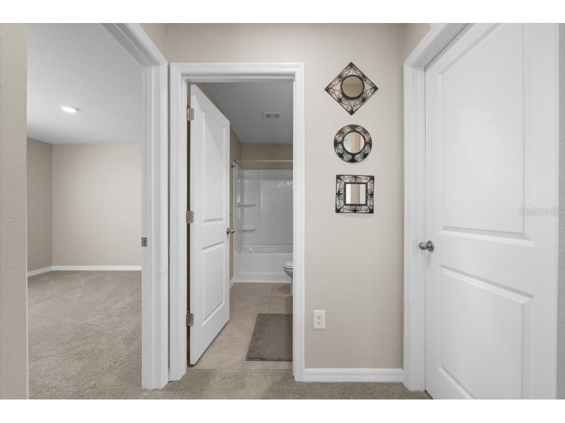 6314 Distant Haze Place Palmetto FL 34221 A4651146 image27