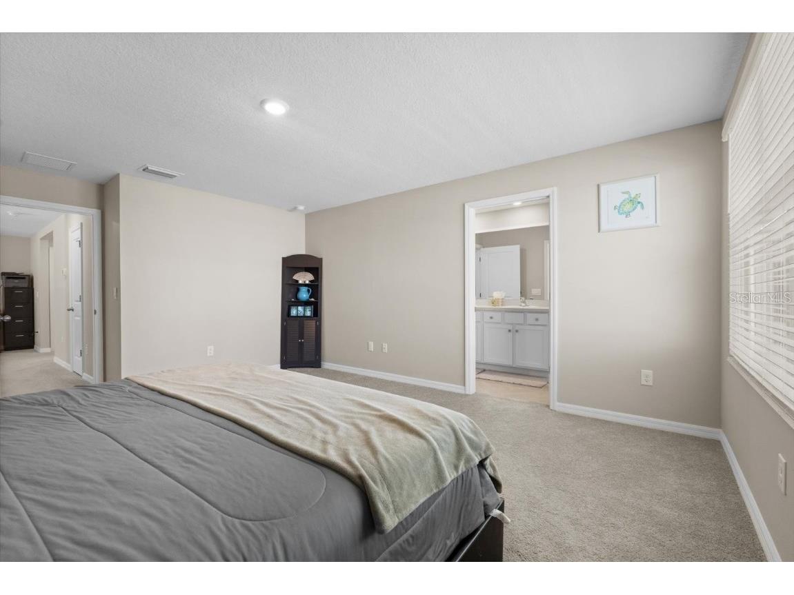 6314 Distant Haze Place Palmetto FL 34221 A4651146 image34