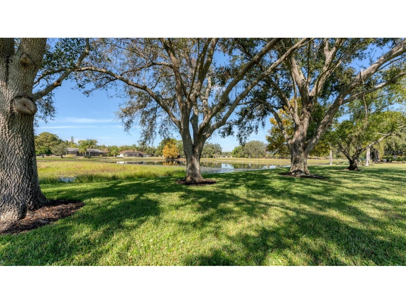 6314 Glen Abbey Lane Bradenton FL 34202 A4673444 image49