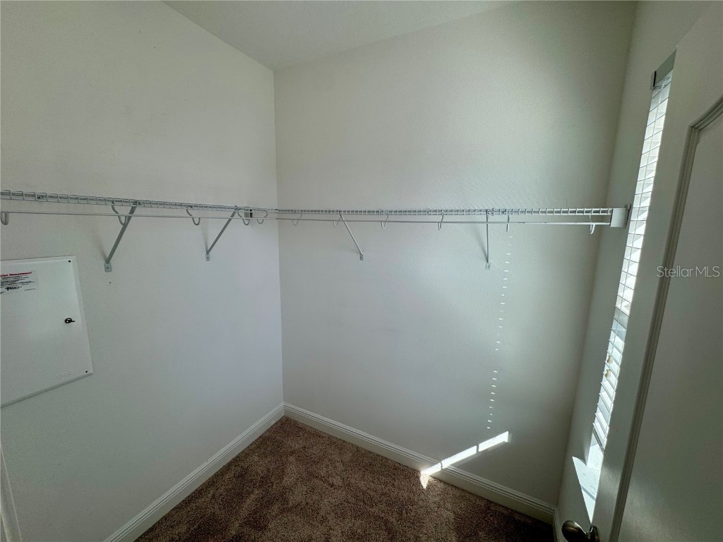 6314 Hamlin Reserve Boulevard Winter Garden FL 34787 S5139917 image28