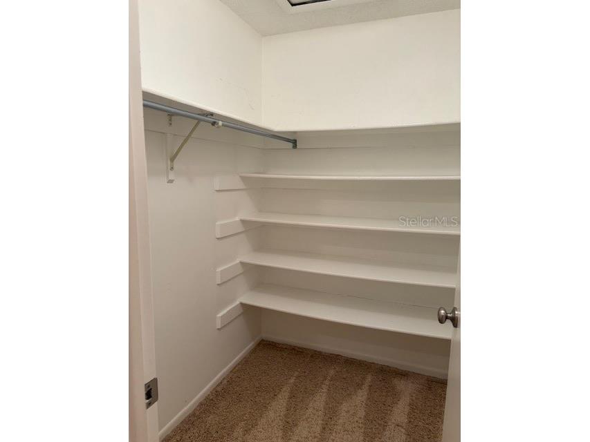 6314 Misty Terrace #6314 Temple Terrace FL 33617 TB8496119 image13